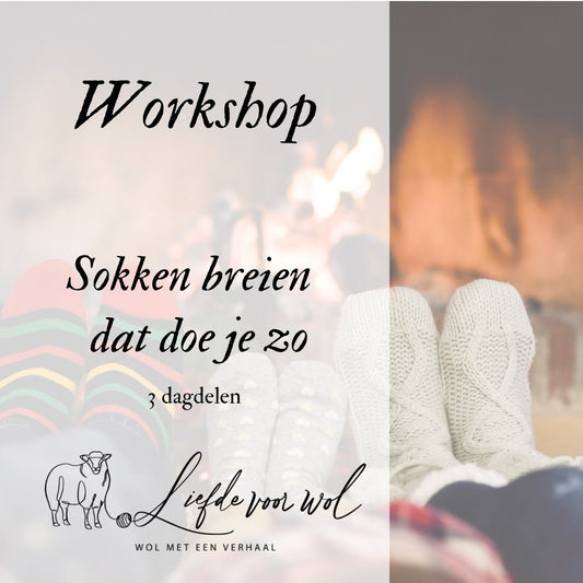 Liefde voor wol Brei in 3 ochtenden je eigen sokken