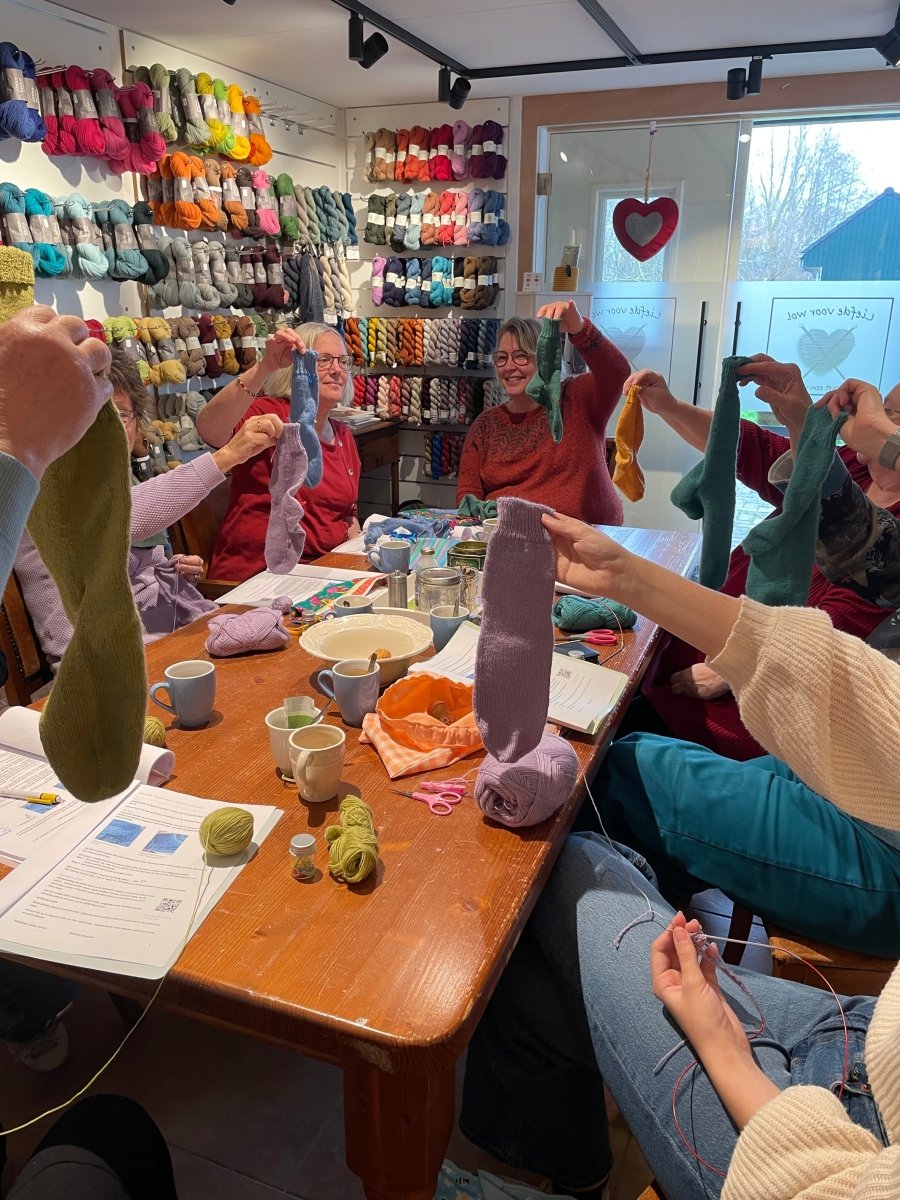 Liefde voor wol Brei in 3 ochtenden je eigen sokken