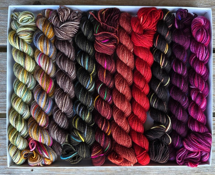 Koigu Wool Designs Holiday Pencil Boxes - set van 10 gekleurde wolstrengen: Fireside Chat