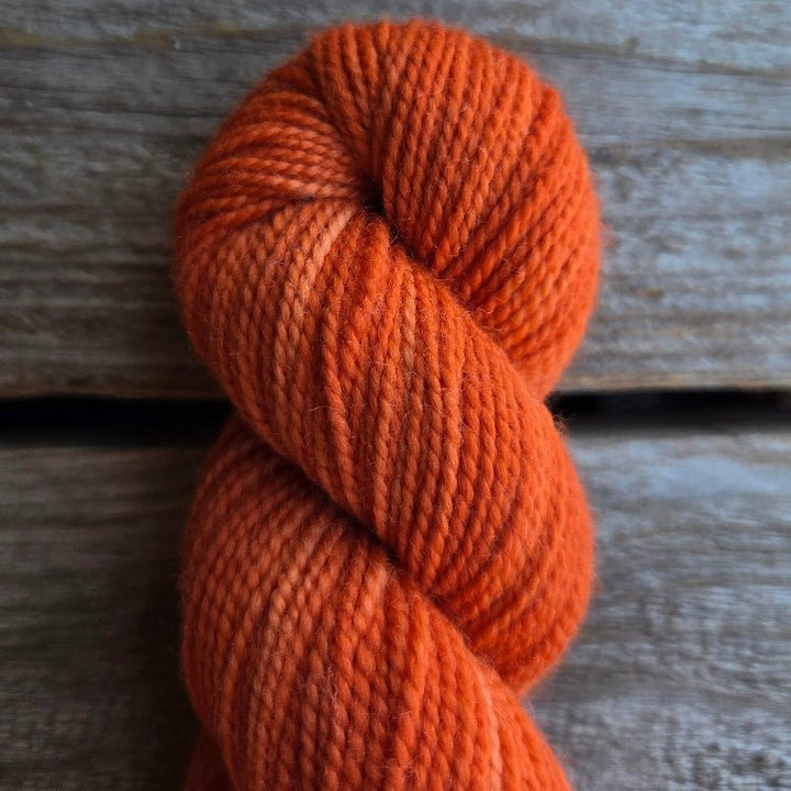 Koigu yarns Koigu KPM Familie Herfst kleuren