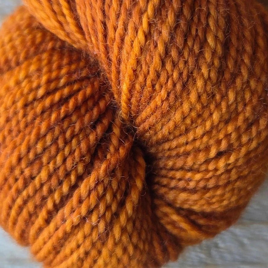 Koigu yarns Koigu KPM Familie Herfst kleuren
