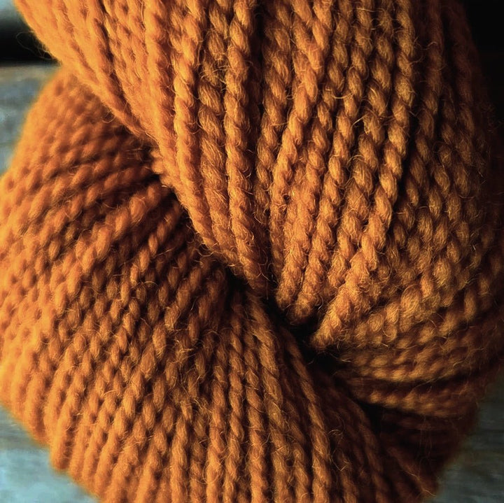 Koigu yarns Koigu KPM Familie Herfst kleuren