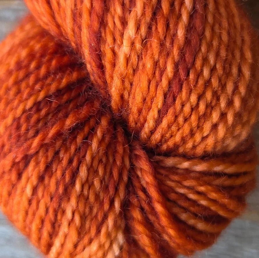 Koigu yarns Koigu KPM Familie Herfst kleuren