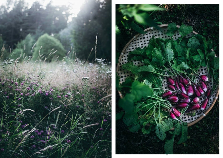 Cozy Publishing Nordic Summer Cookbook