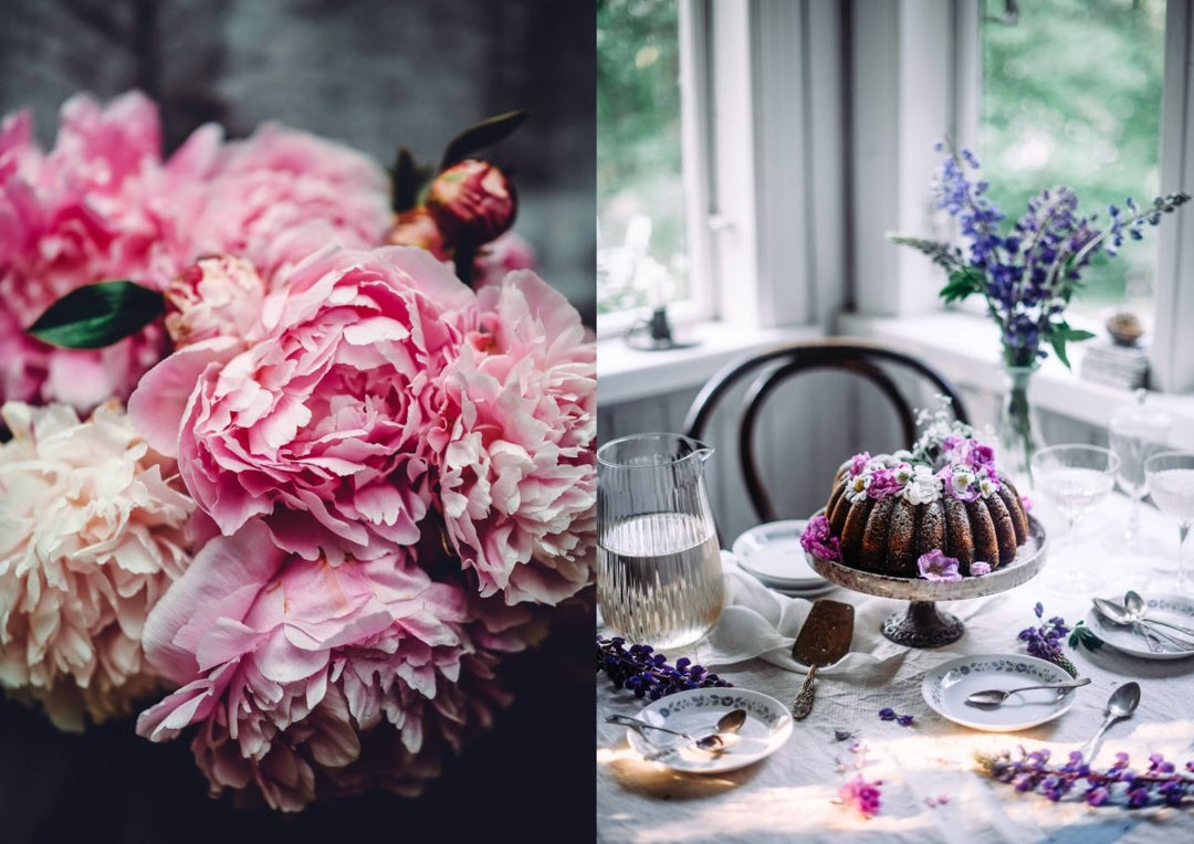 Cozy Publishing Nordic Summer Cookbook