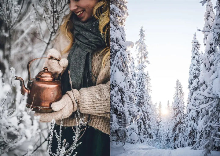 Cozy Publishing Nordic Winter Cookbook