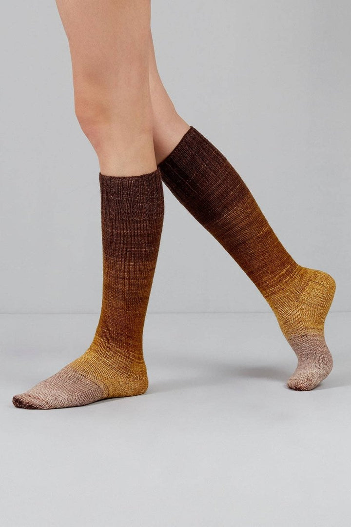 Urth Yarns Urth Yarns - Echoes Fingering | 1513