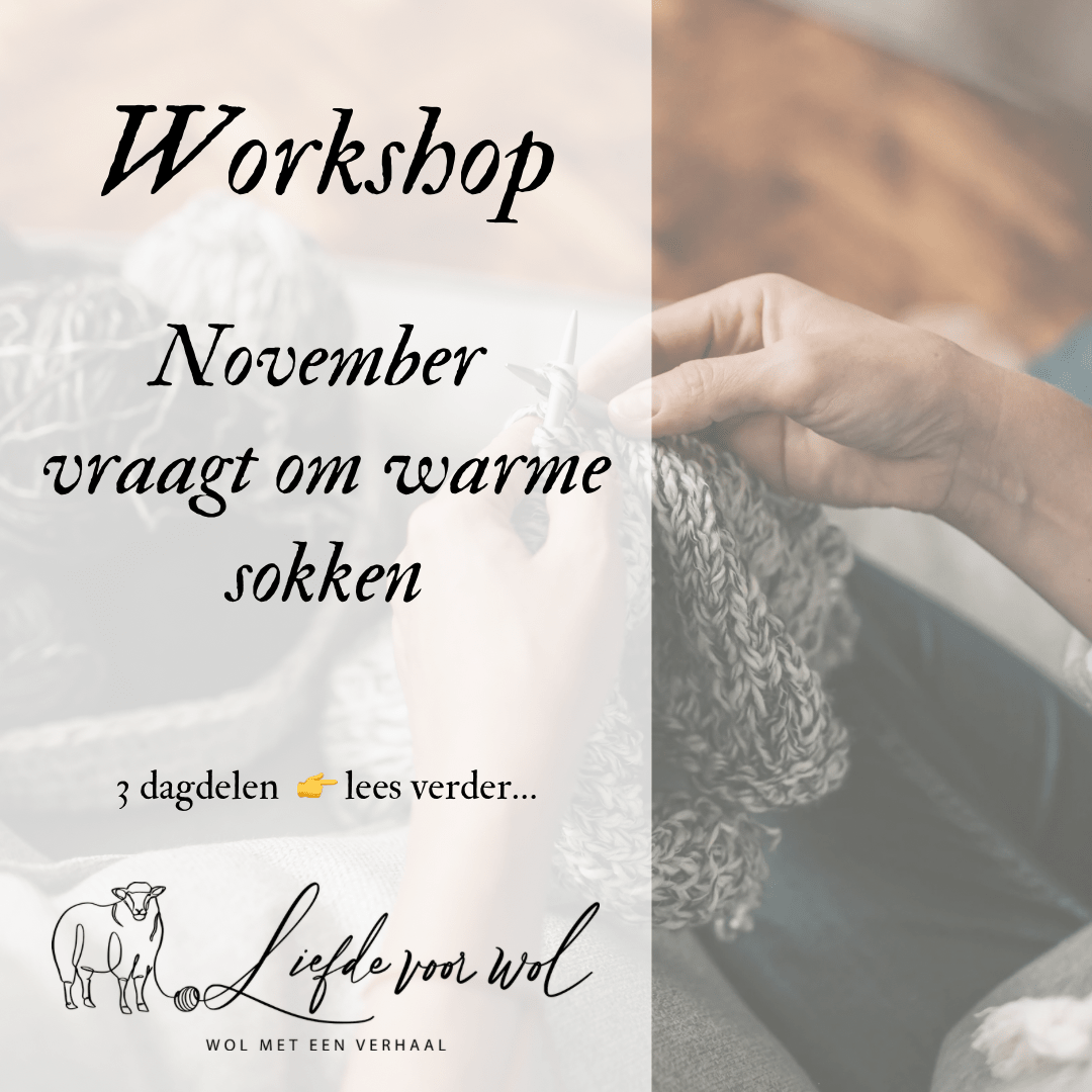 Liefde voor wol Zelf sokken breien in 3 ochtenden In November